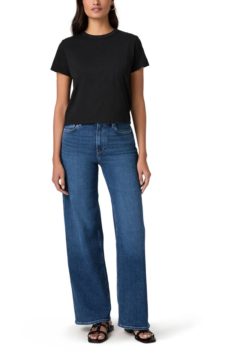 Rhodes Crewneck Cotton T-Shirt, Alternate, color, BLACK