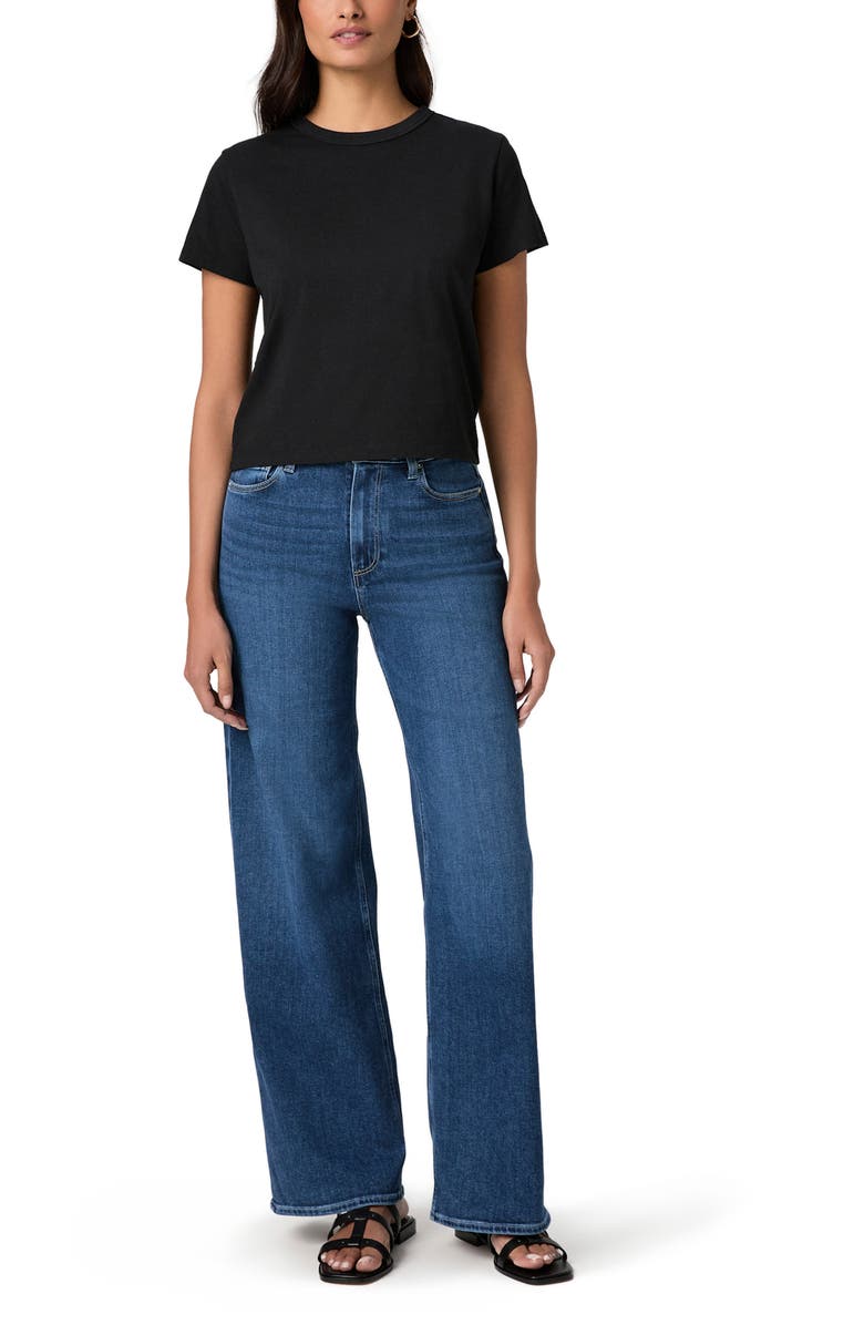 PAIGE Rhodes Crewneck Cotton T-Shirt, Alternate, color, Black