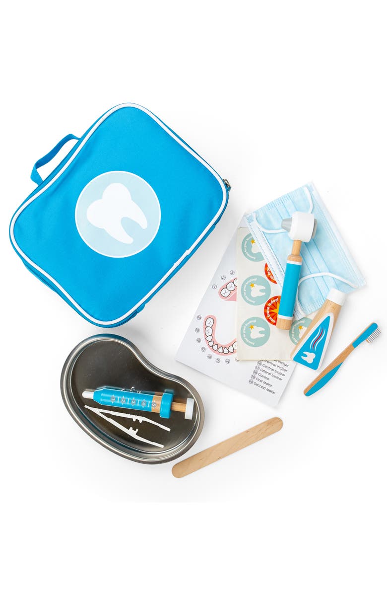 Bigjigs Toys Dentist Set, Main, color, Blue