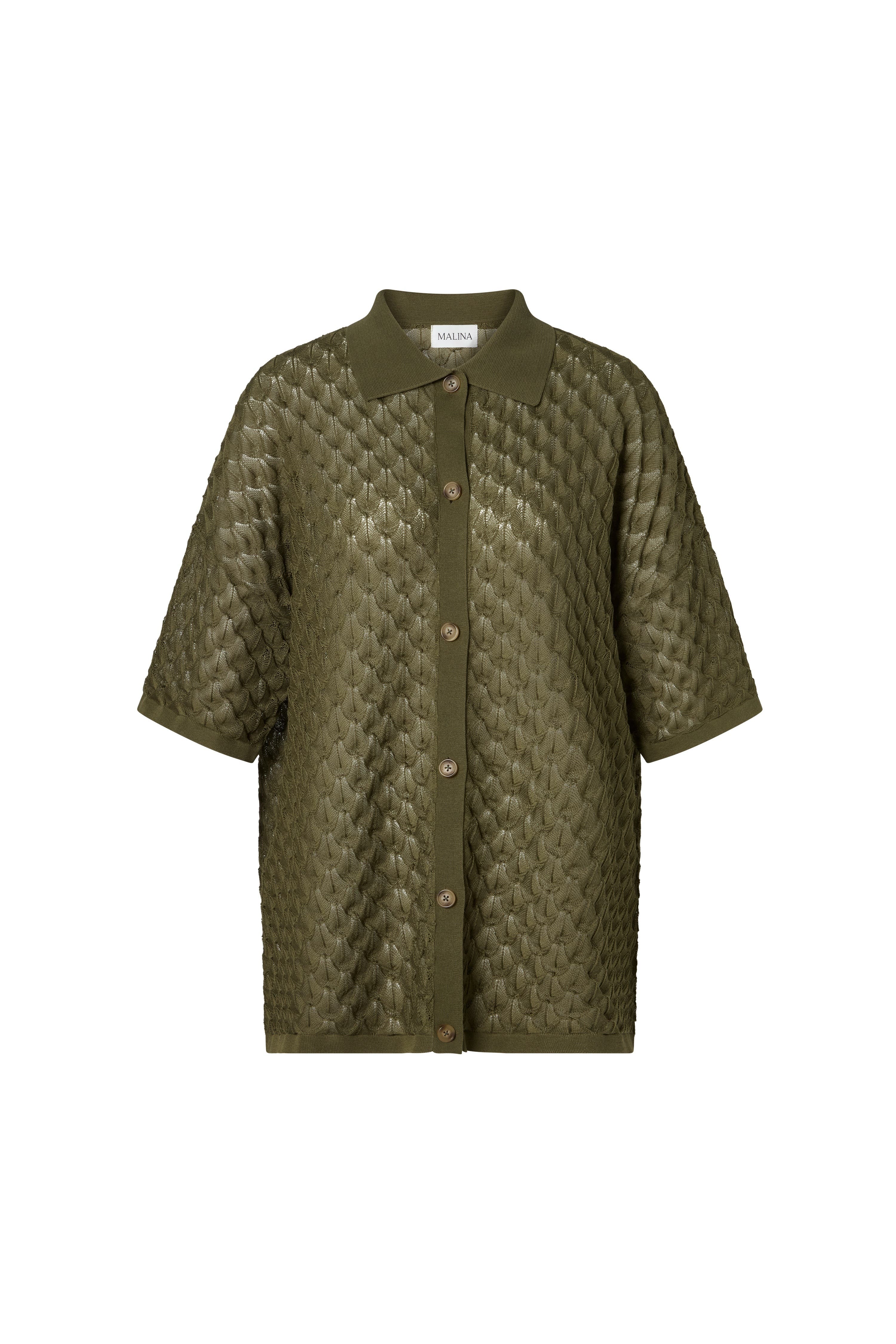 Dusty Olive