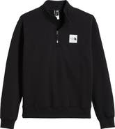 【THE NORTH FACE】ERIUS HALF ZIP SWEATSHIRTS ASK availability First)NORTH FACE purple label 11oz Half Zip