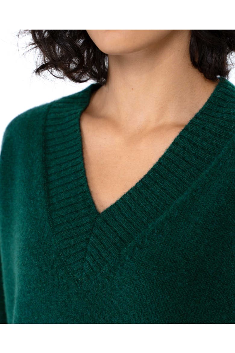 Anya V-Neck Knit Jumper, Alternate, color, Pine