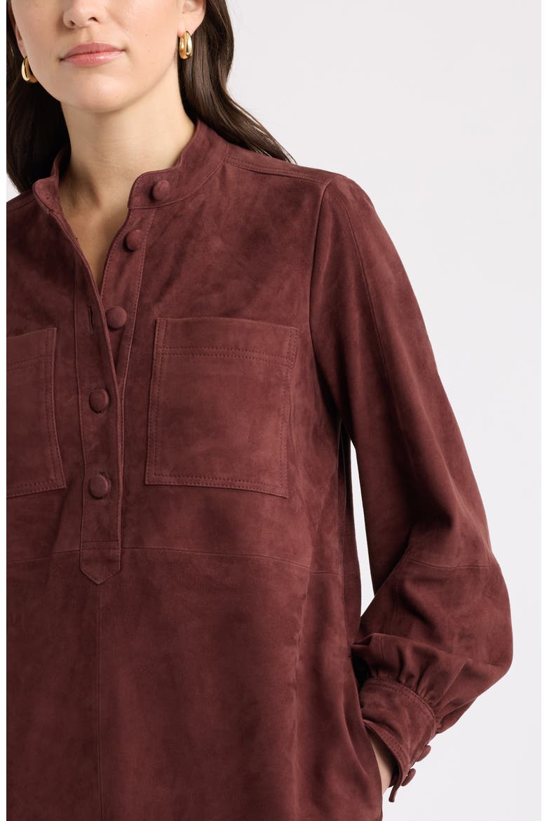 Suede Leather Button Front Dress, Alternate, color, BROWN CHOCOLATE