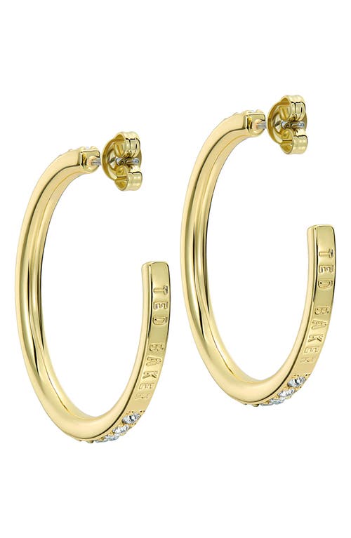 Ted Baker Clanci Medium Crystal Hoop Earrings In Gold