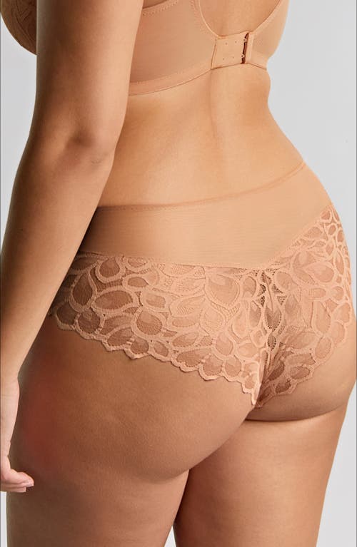 Panache Allure Lace Cheeky Briefs In Brown