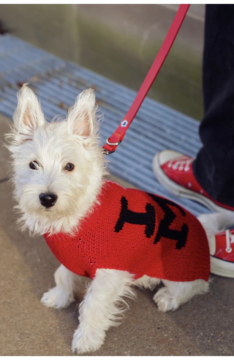 Little Beast I LOVE ME Pet Sweater, Alternate, color, 