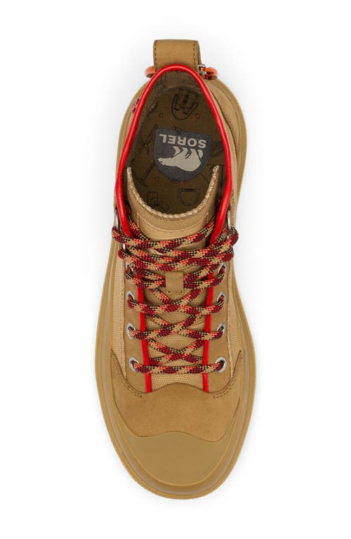 Sorel Scout N About™ Mid Sneaker In Caribou Buff/gum