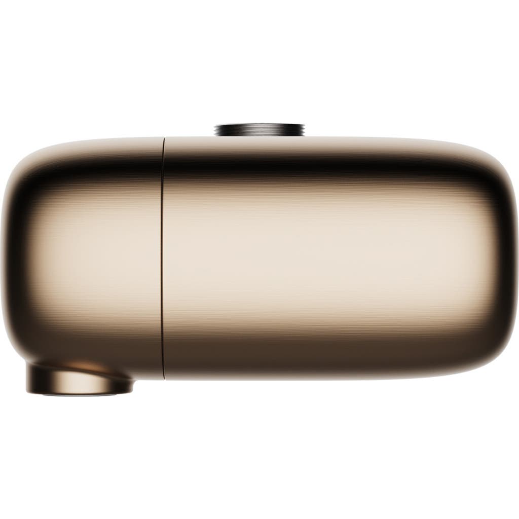 Canopy Faucet Water Filter In Gold