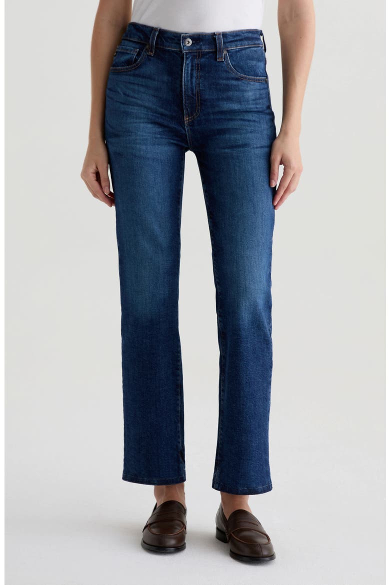 Brinley Classic Straight Leg Jeans, Main, color, PLENTIFUL