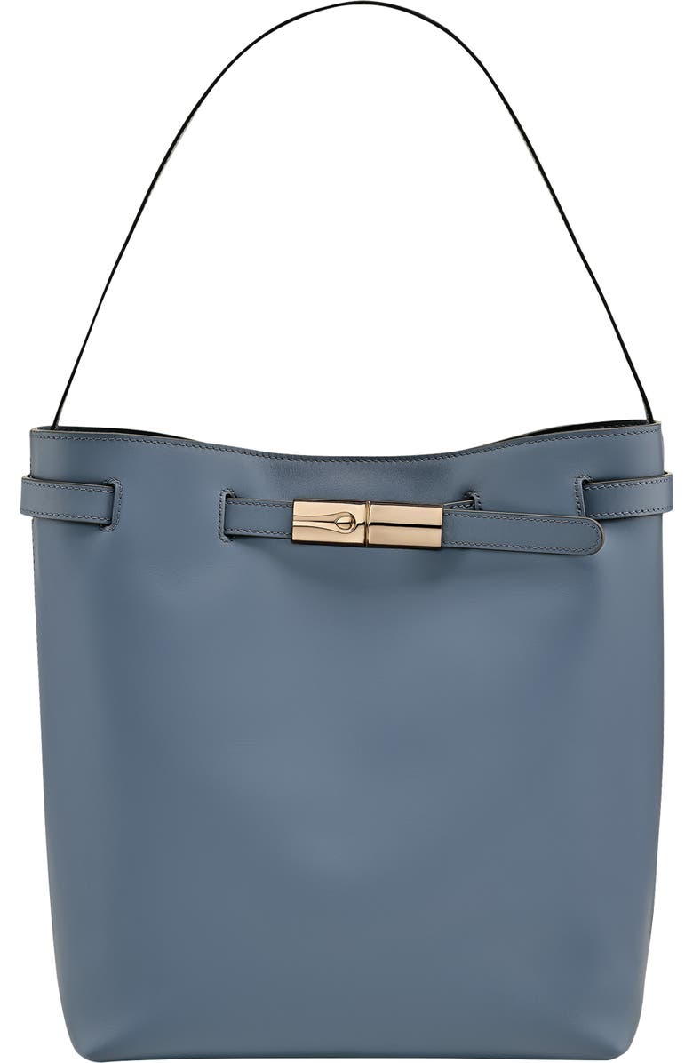 Longchamp Le Roseau Smart Leather Hobo Bag, Main, color, Slate