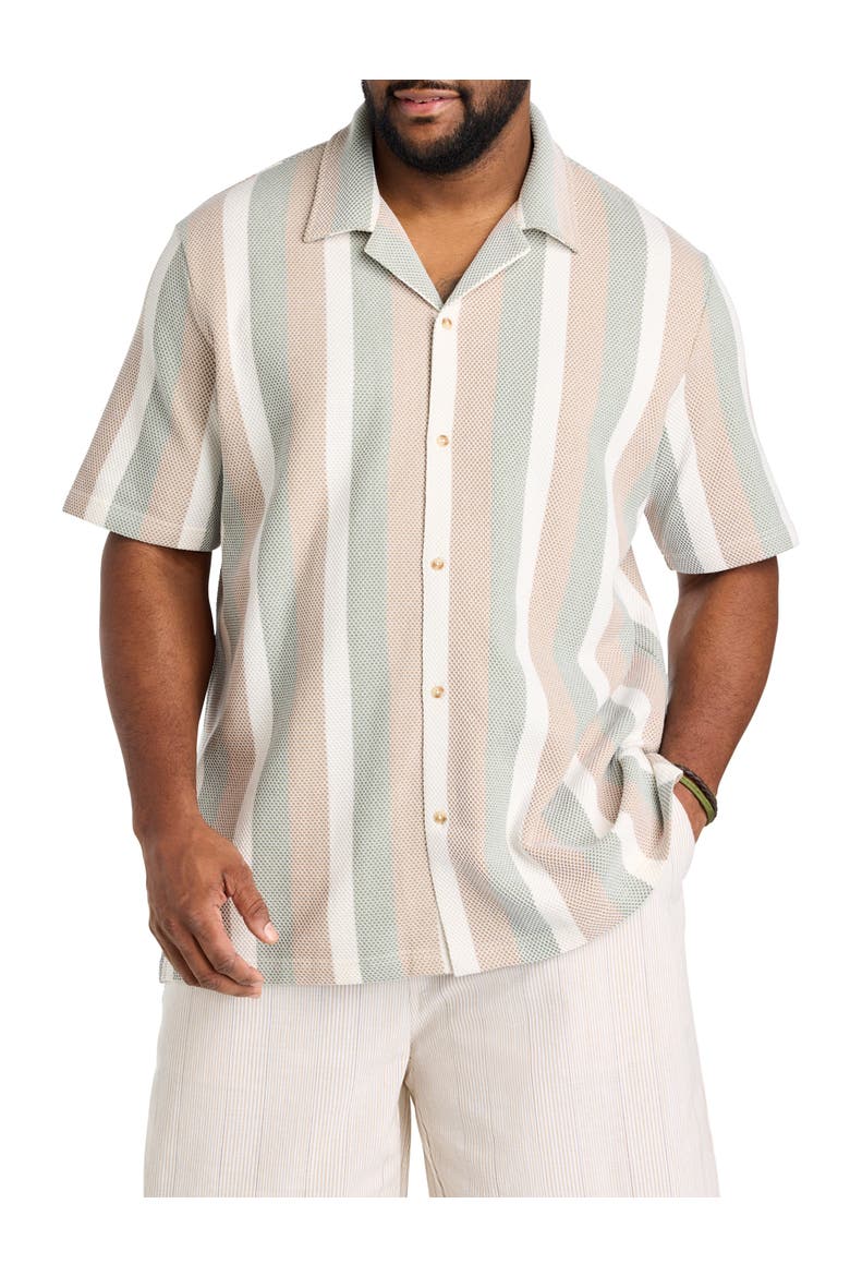 Big & Tall Textured Stripe Button-Front Polo Shirt, Main, color, NATURAL