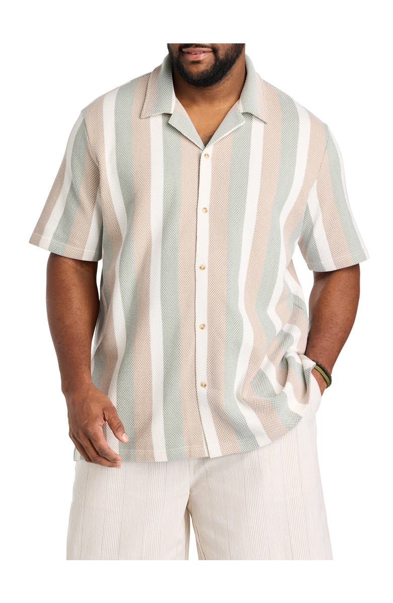 Nautica Big & Tall Textured Stripe Button-Front Polo Shirt, Main, color, Natural