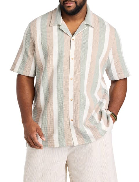 Big & Tall Textured Stripe Button-Front Polo Shirt