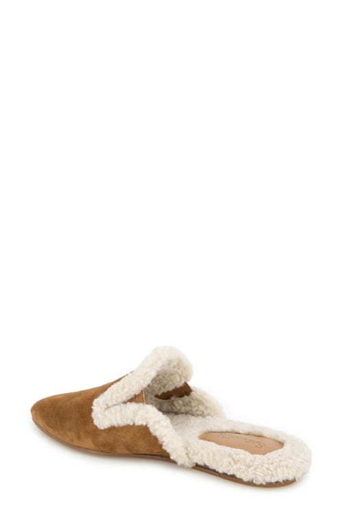 Splendid Liza Pointed Toe Mule In Brown