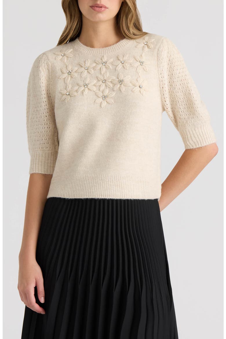 Embroidered Flower Puff Sleeve Sweater, Main, color, OATMEAL MIX
