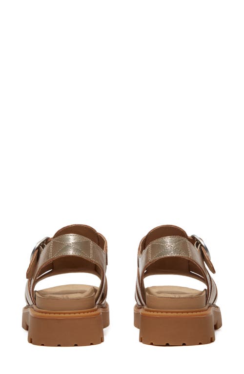 Timberland Clairemont Way Fisherman Sandal In Gold Metallic