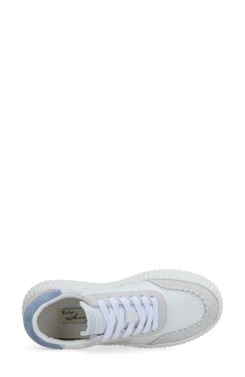 Vintage Havana Blaze Scribble Sneaker In Soft Croco Multi