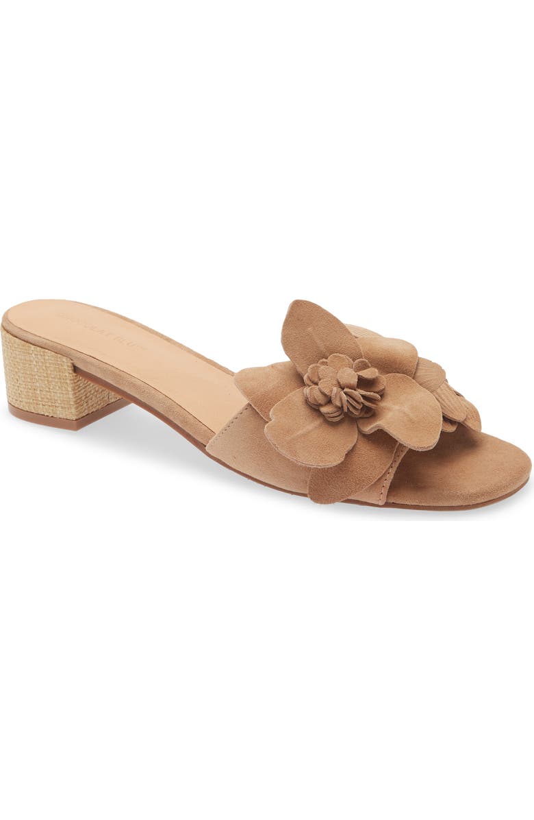 Chocolat Blu Baja Embellished Sandal, Main, color, Latte Suede