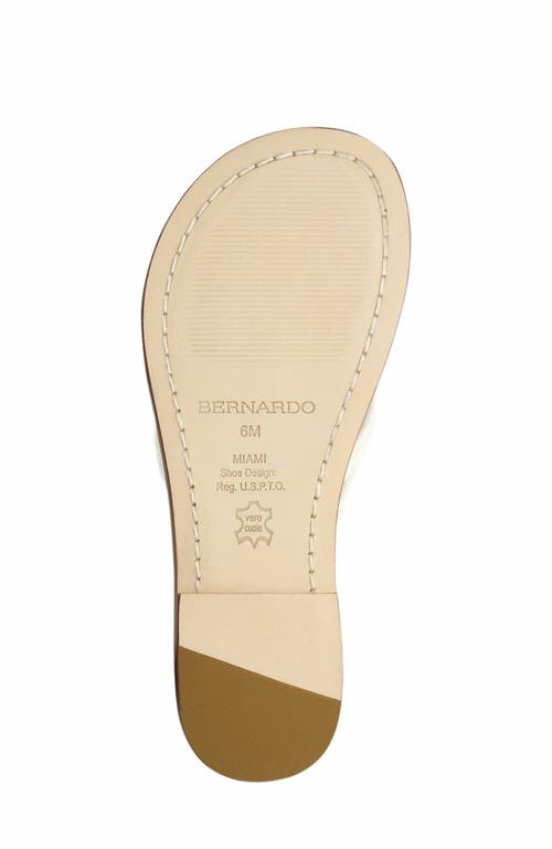 BERNARDO FOOTWEAR BERNARDO FOOTWEAR MIAMI THONG SANDAL 