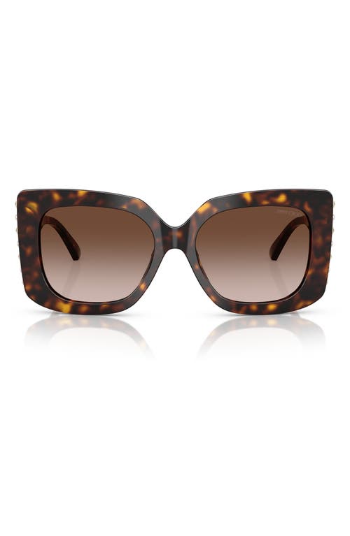 Jimmy Choo 54mm Butterfly Sunglasses In Havana