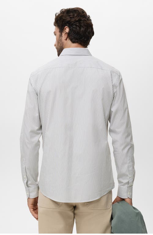 Mango Regular Fit Stripe Cotton Button-up Shirt In Brown