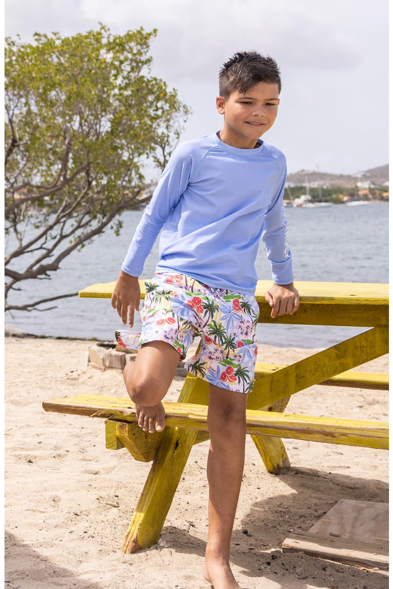 Kids' Seaside Long Sleeve UPF 50+ Rashguard, Alternate, color, BLUE