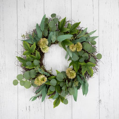 Northlight Eucalyptus & Olive Leaf Twig Spring Wreath In Green