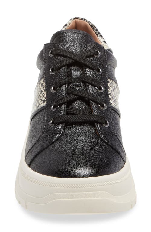 Shop Linea Paolo Roffe Platform Sneaker In Black/cream/black Leather