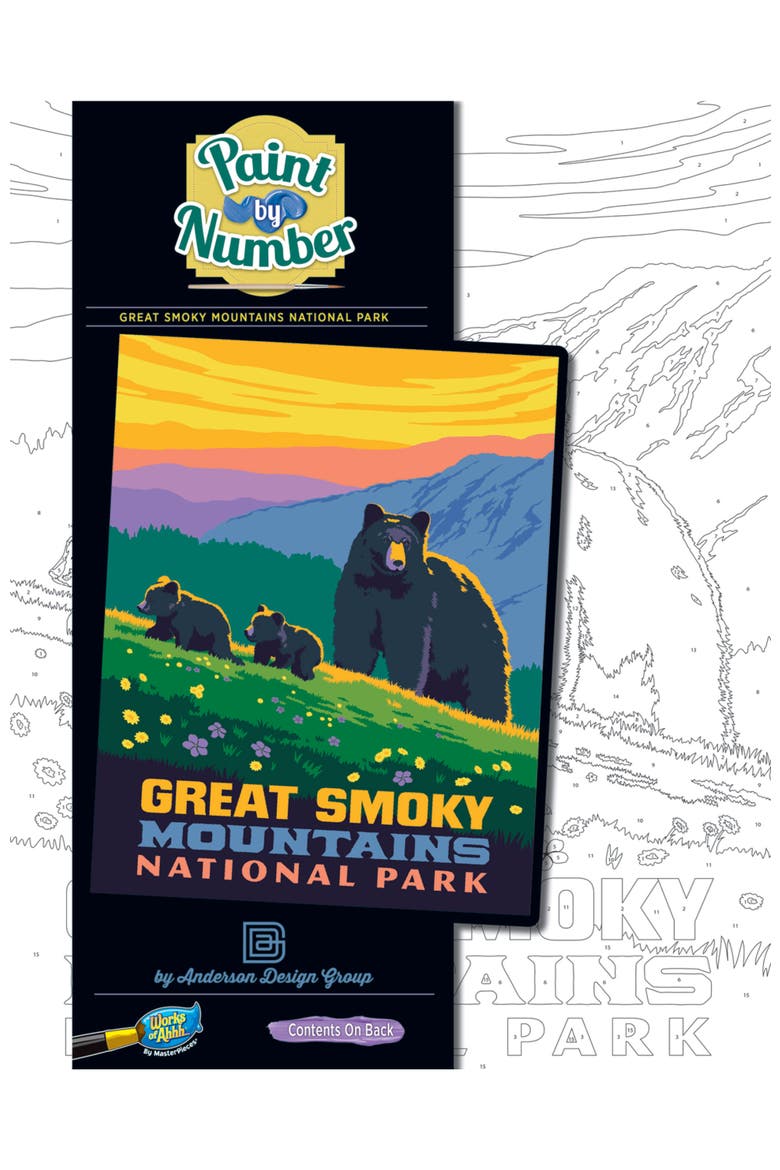 Smoky Mountain Paint by Number, Main, color, Multicolor