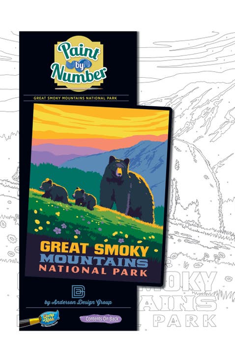 Smoky Mountain Paint by Number