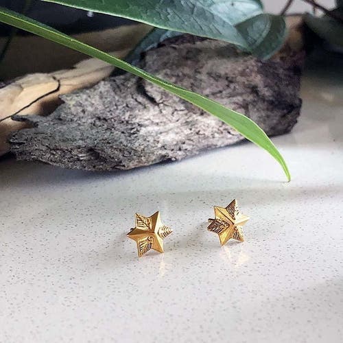 Astor & Orion Women's Gold Star Stud Earrings In Gold