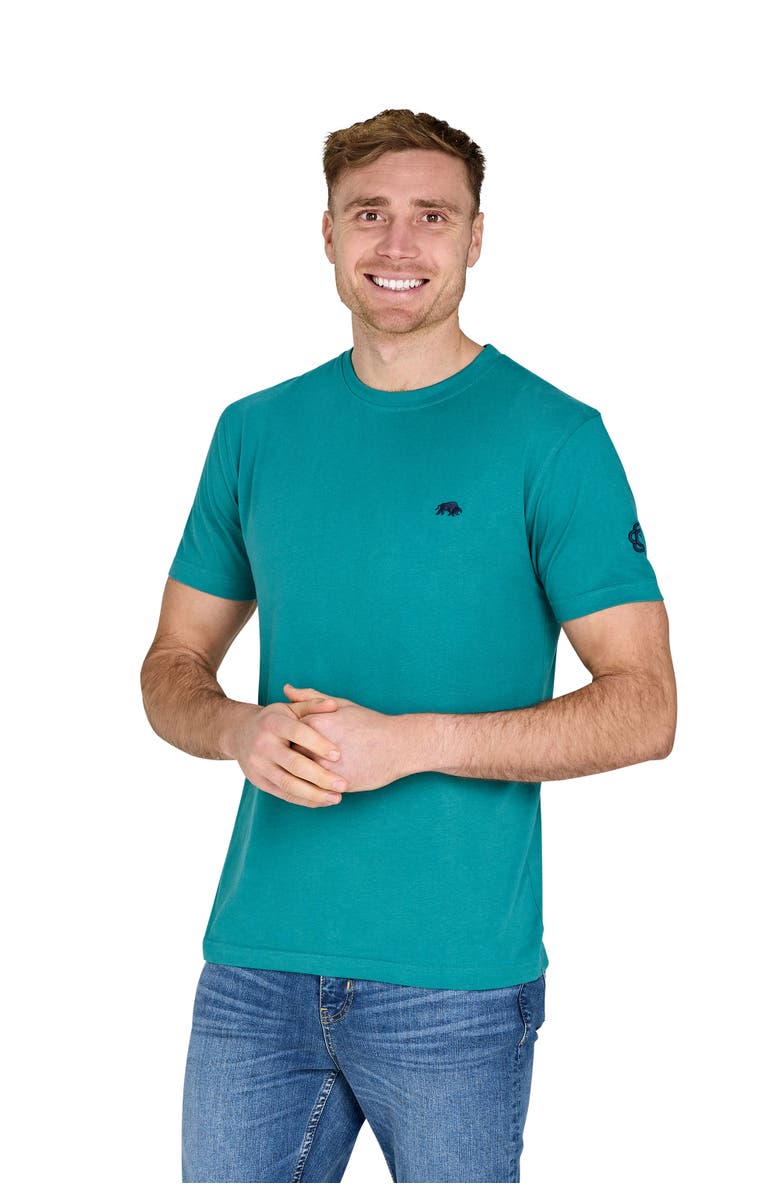 Raging Bull YFC Bull Horns Back Print T-Shirt, Main, color, Teal