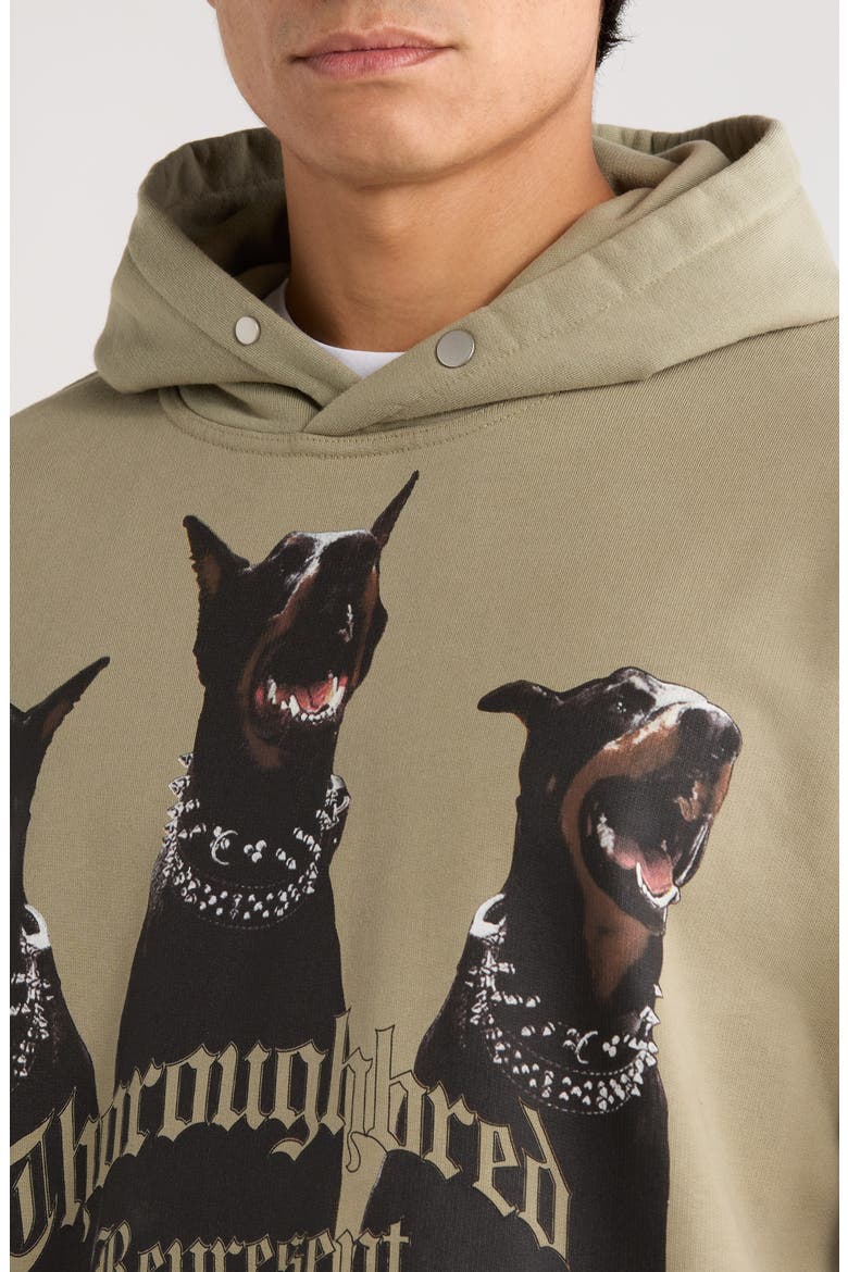 Thoroughbred Oversize Cotton Graphic Hoodie, Alternate, color, KHAKI