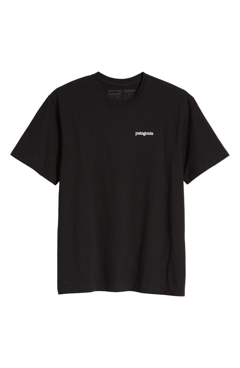 Patagonia Fitz Roy Horizons Graphic Responsibili-Tee T-Shirt, Alternate, color, 