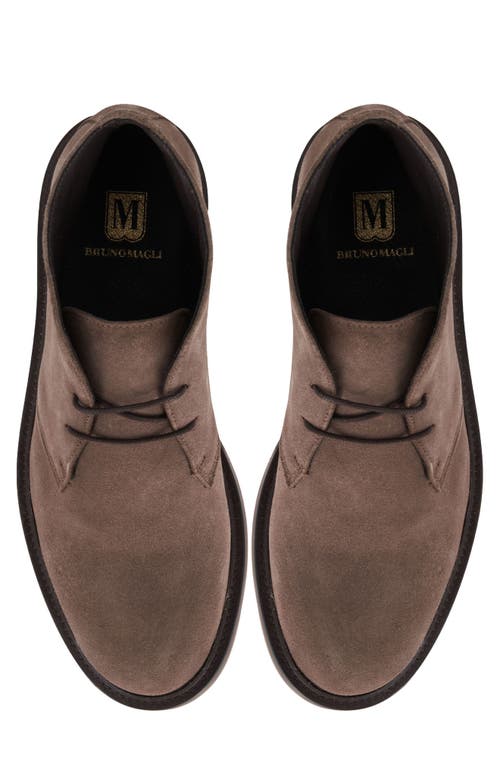 Bruno Magli Mabelton Chukka Boot In Brown