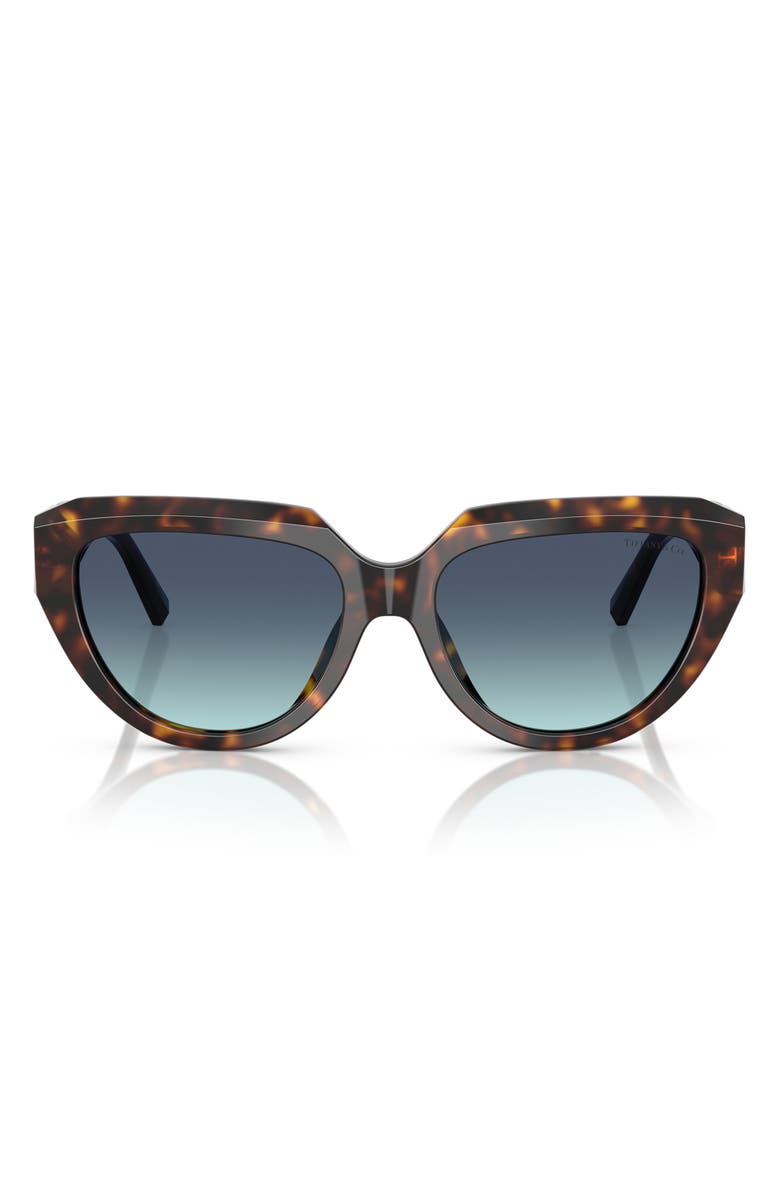 Tiffany & Co. 55mm Pillow Sunglasses, Main, color, Havana / Azure Gradient Blue