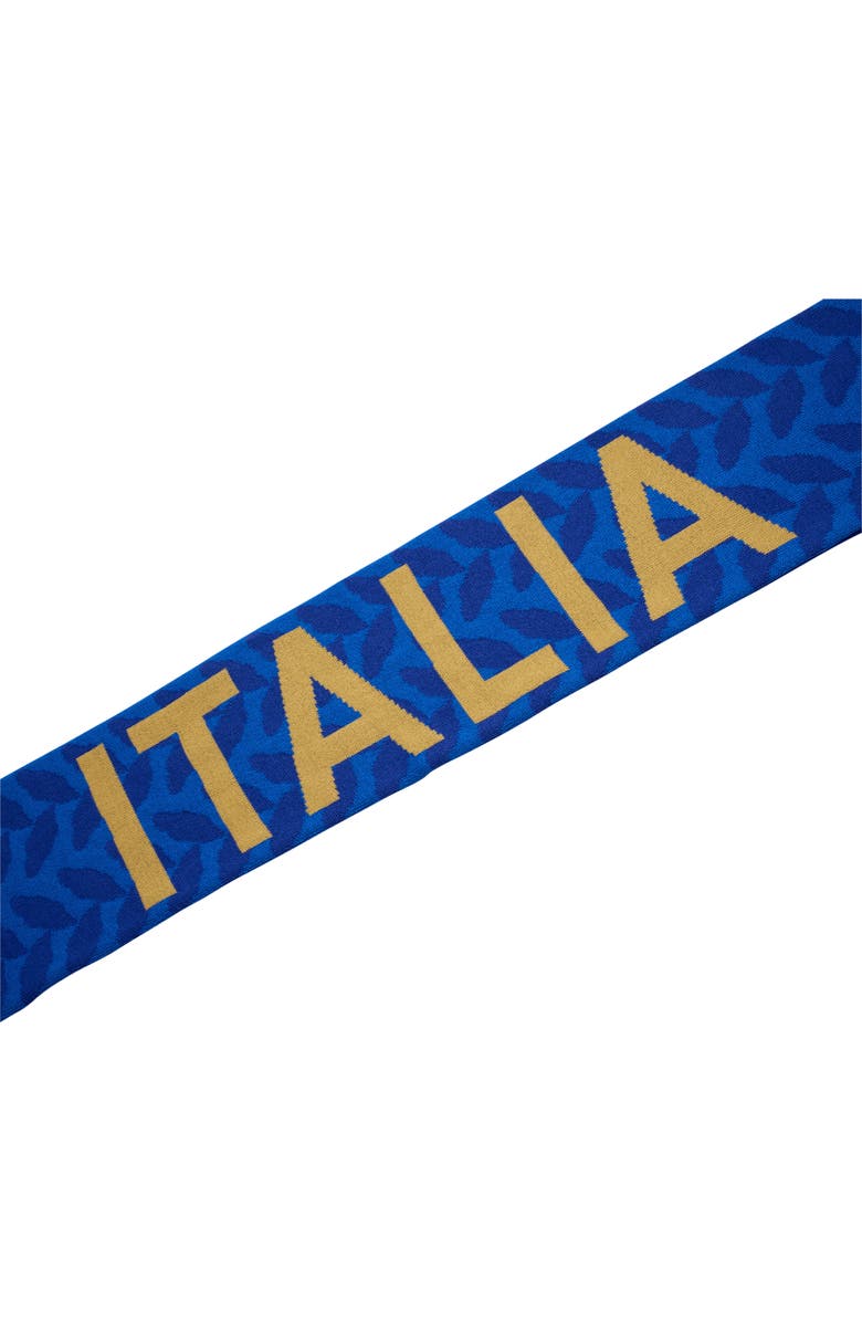 adidas Originals FIGC Italy Scarf, Alternate, color,