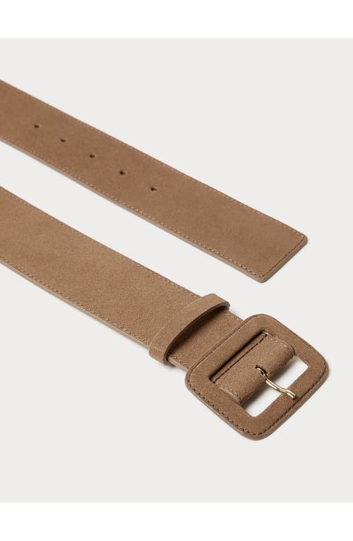 Marina Rinaldi Olmo Suede Belt In Turtledove