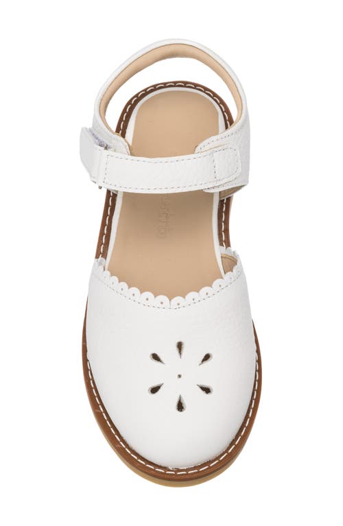 Elephantito Bellis Sandal In White