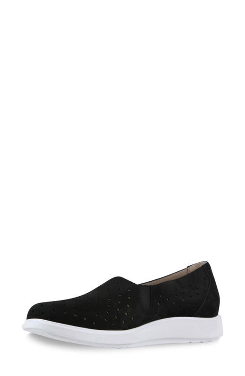 Munro Ridley Perforated Sneaker In Black Nubuck