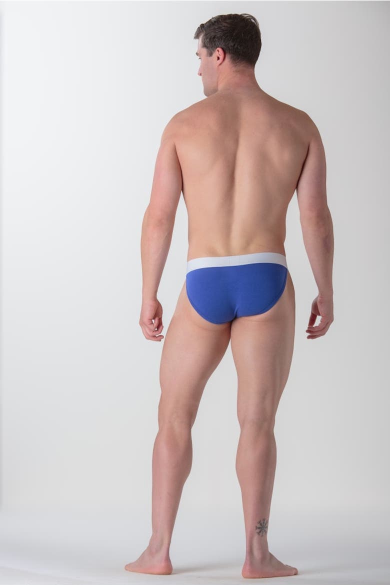 Sexy Fun Tanga Briefs, Alternate, color, Blue