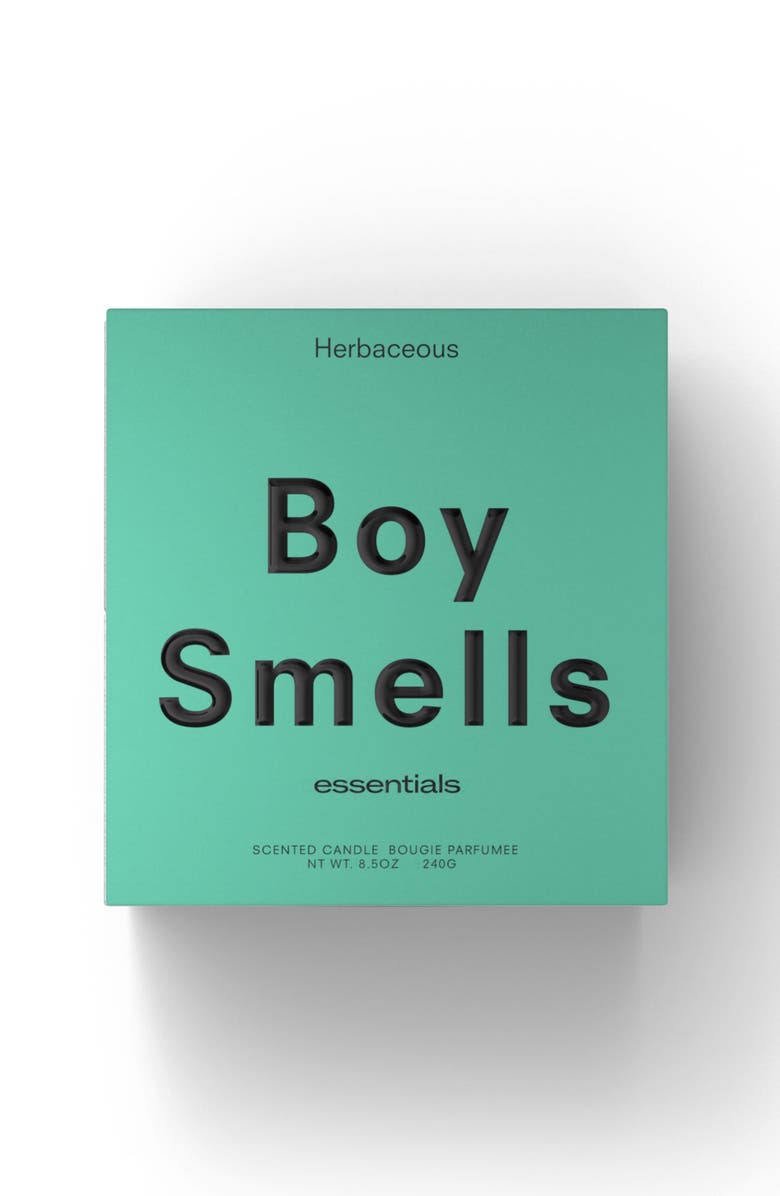 Boy Smells Herbaceous Candle, Alternate, color, 