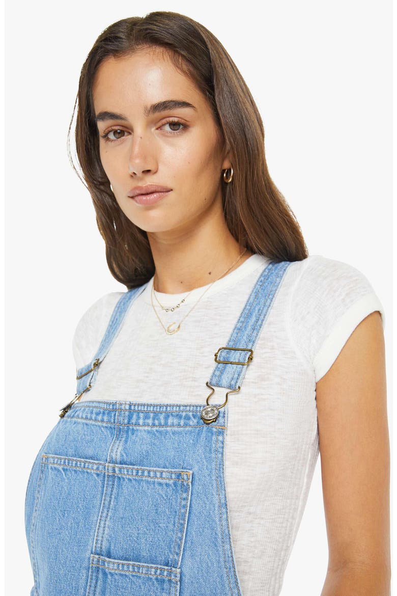 The Half-Pipe Ankle Barrel Leg Denim Overalls, Alternate, color, LAST BITE