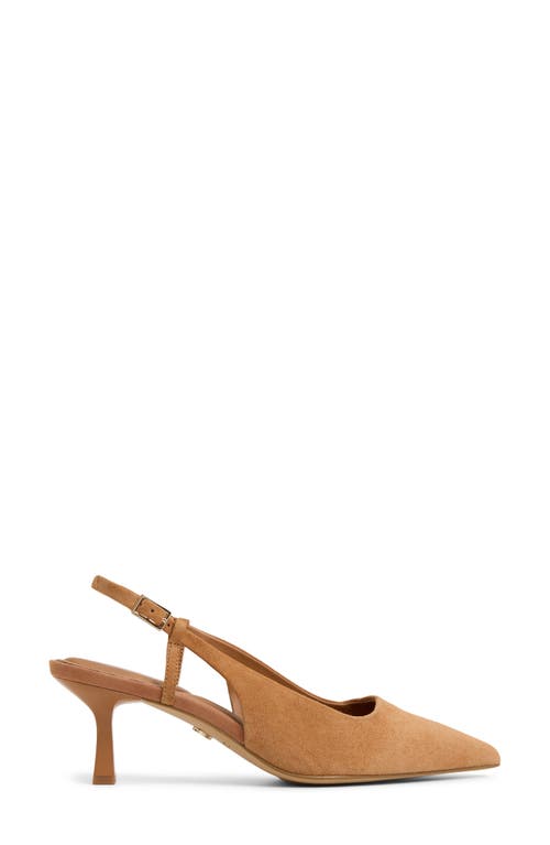 Aldo Adan Pointed Toe Slingback Pump In Brown
