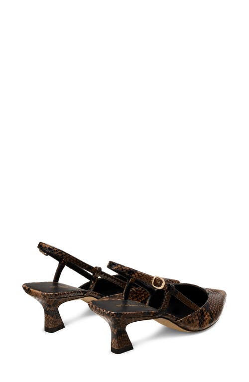 Stuart Weitzman Vinnie 50 Slingback Pump In Brown