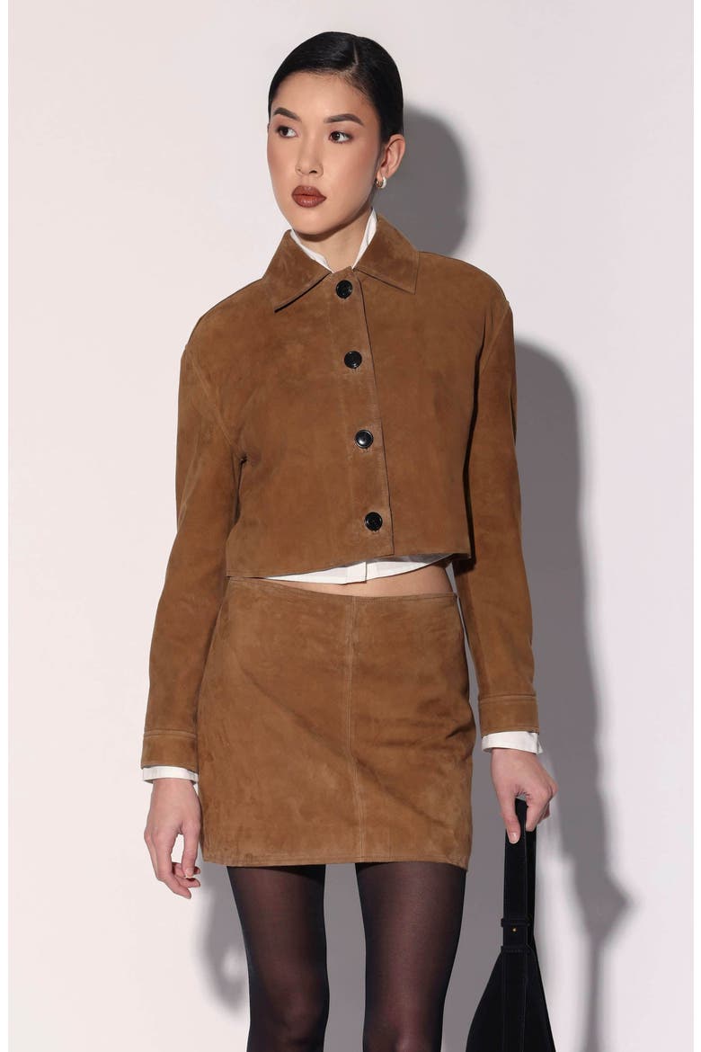 Suzette Suede Leather Jacket, Main, color, Brown