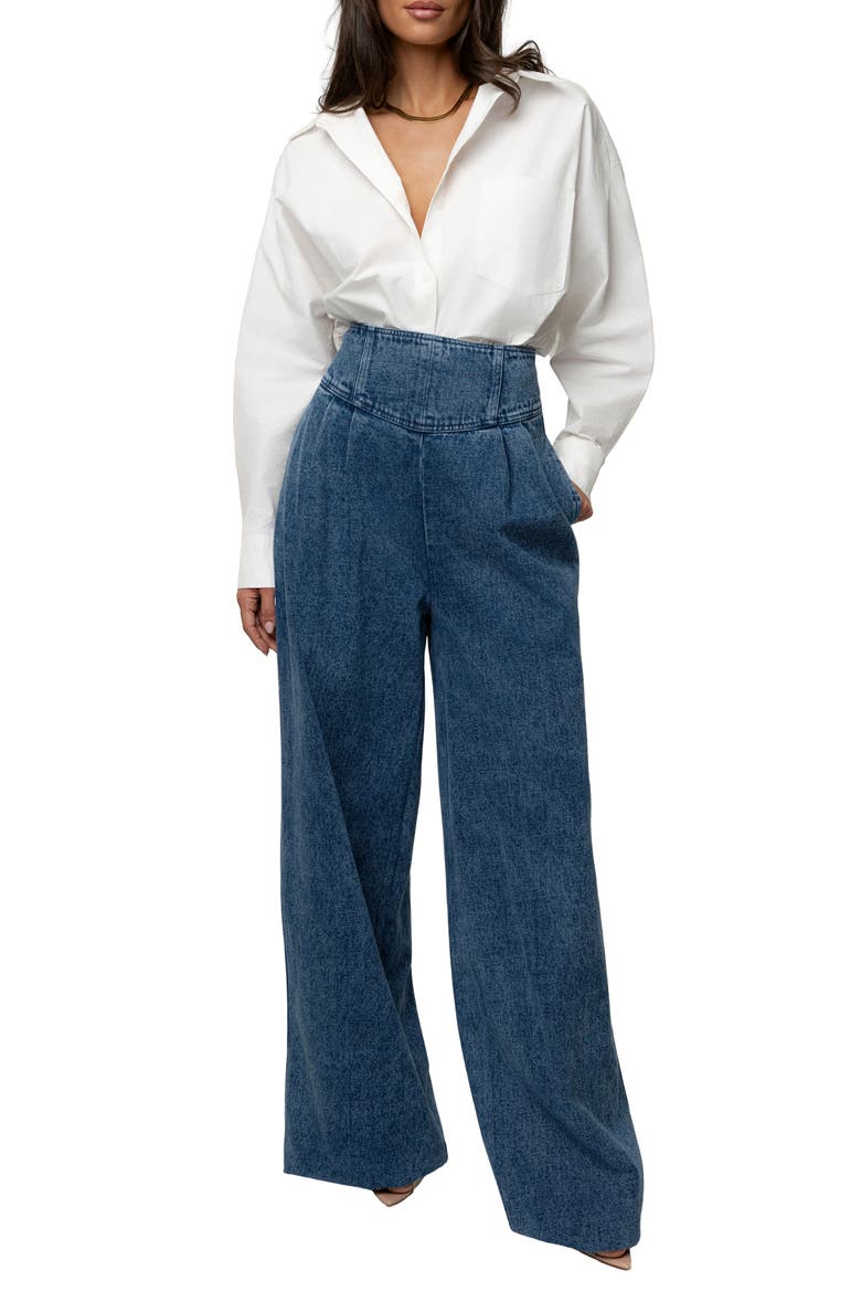 Pleated Wide Leg Denim Pants, Alternate, color, DENIM