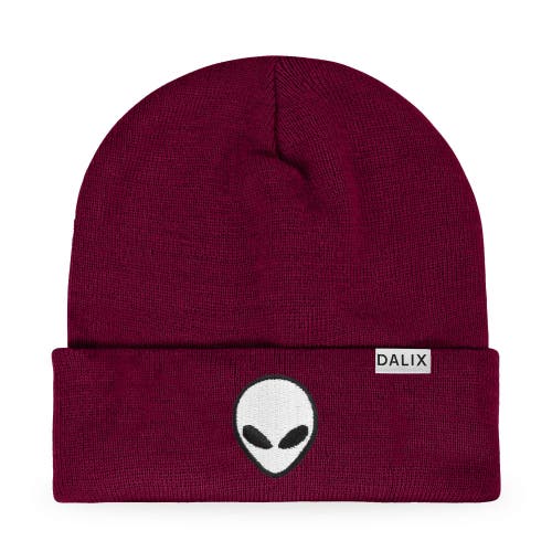 Dalix Alien Beanie In Maroon