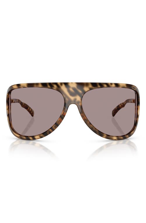 Miu Miu 75mm Oversize Shield Sunglasses In Brown