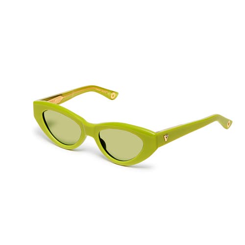 Vada Catfish Sunglasses In Green